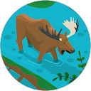 Jeff M profile picture